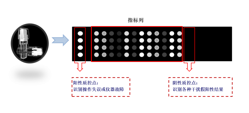QQ圖片20210820090041